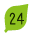 24