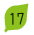 17
