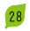 28
