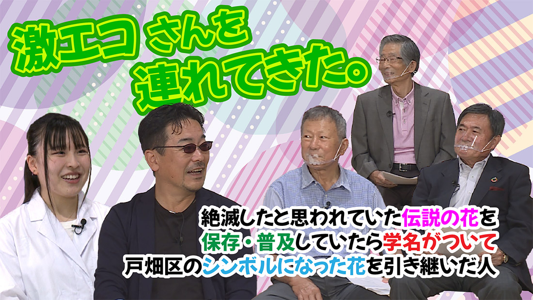 激エコさんを連れてきた