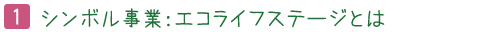 シンボル事業:エコライフステージとは