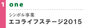 シンボル事業 エコライフステージ2015